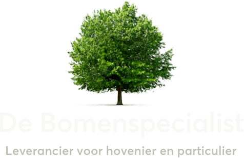 De Bomenspecialist